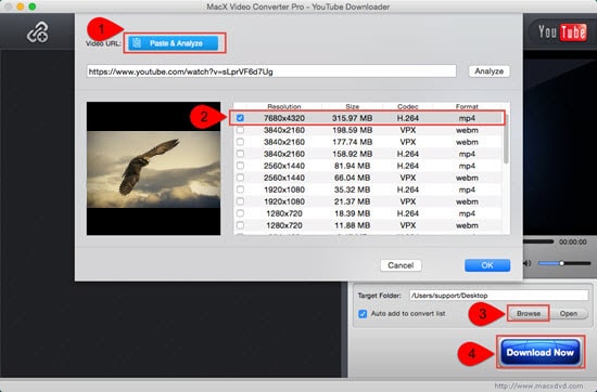 how to download movies on macbook air